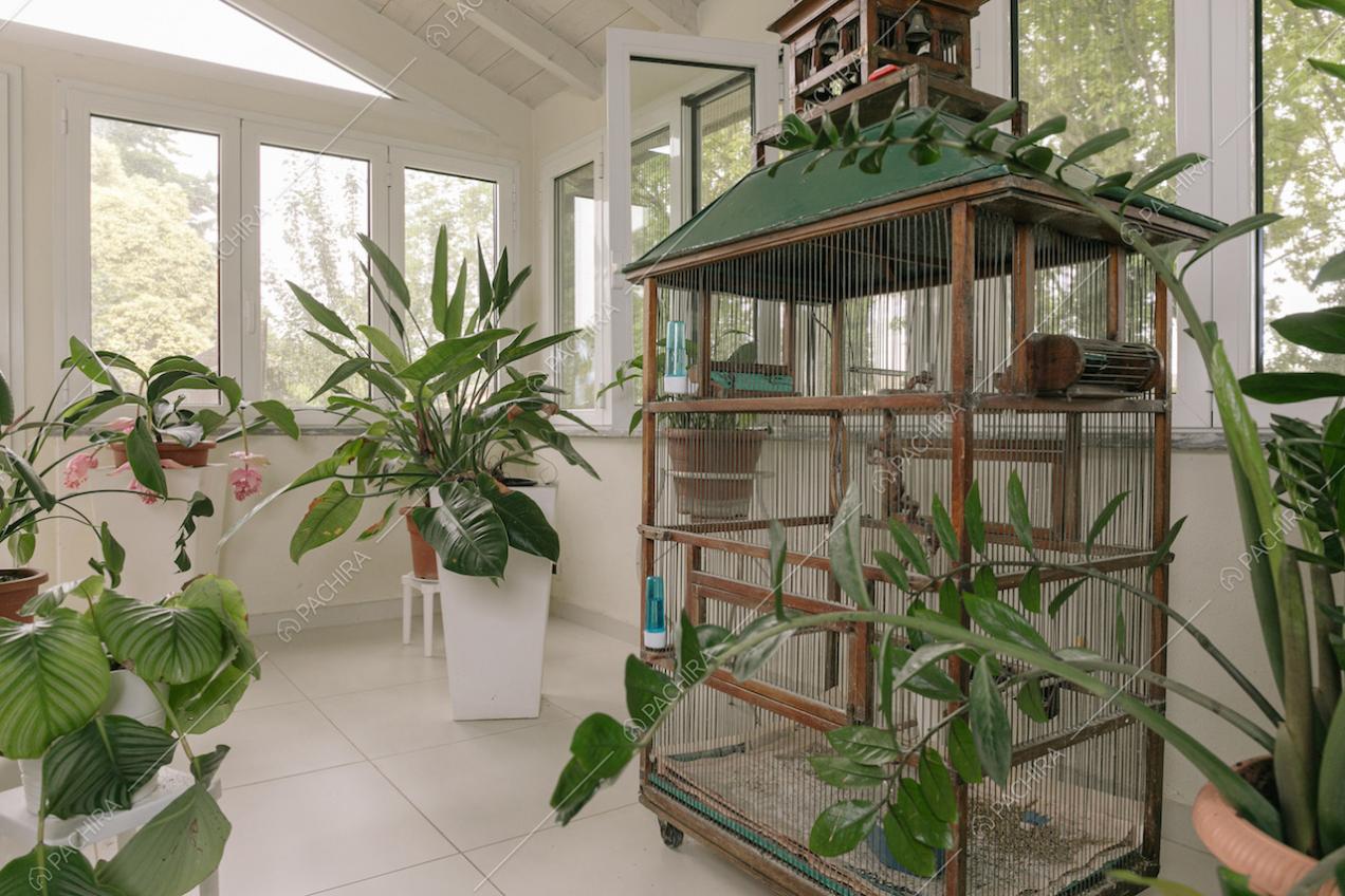 Veranda interna con piante e fiori
