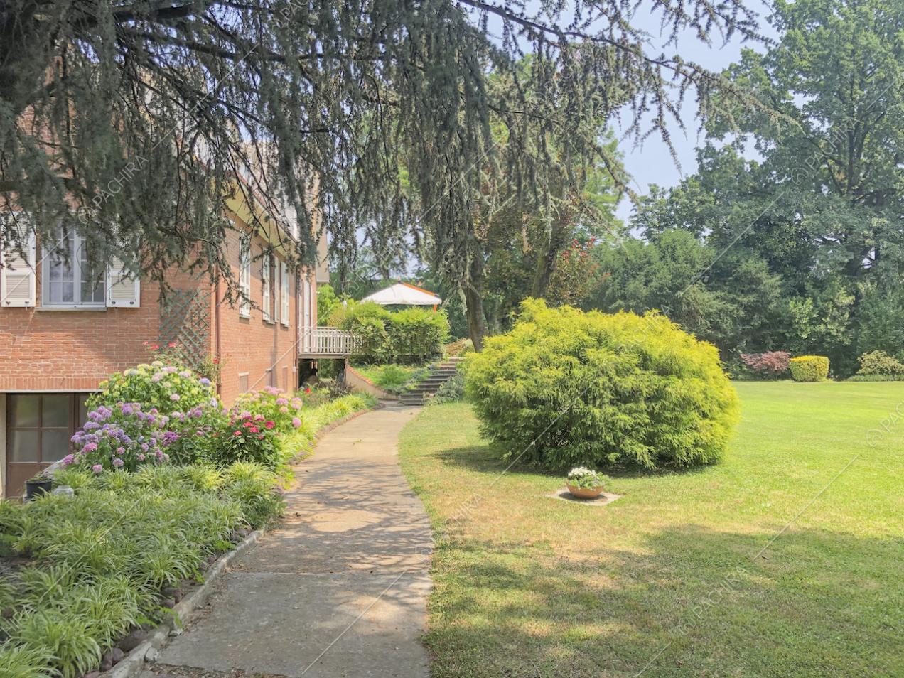 Angolo di giardino con siepi, alberi e fiori