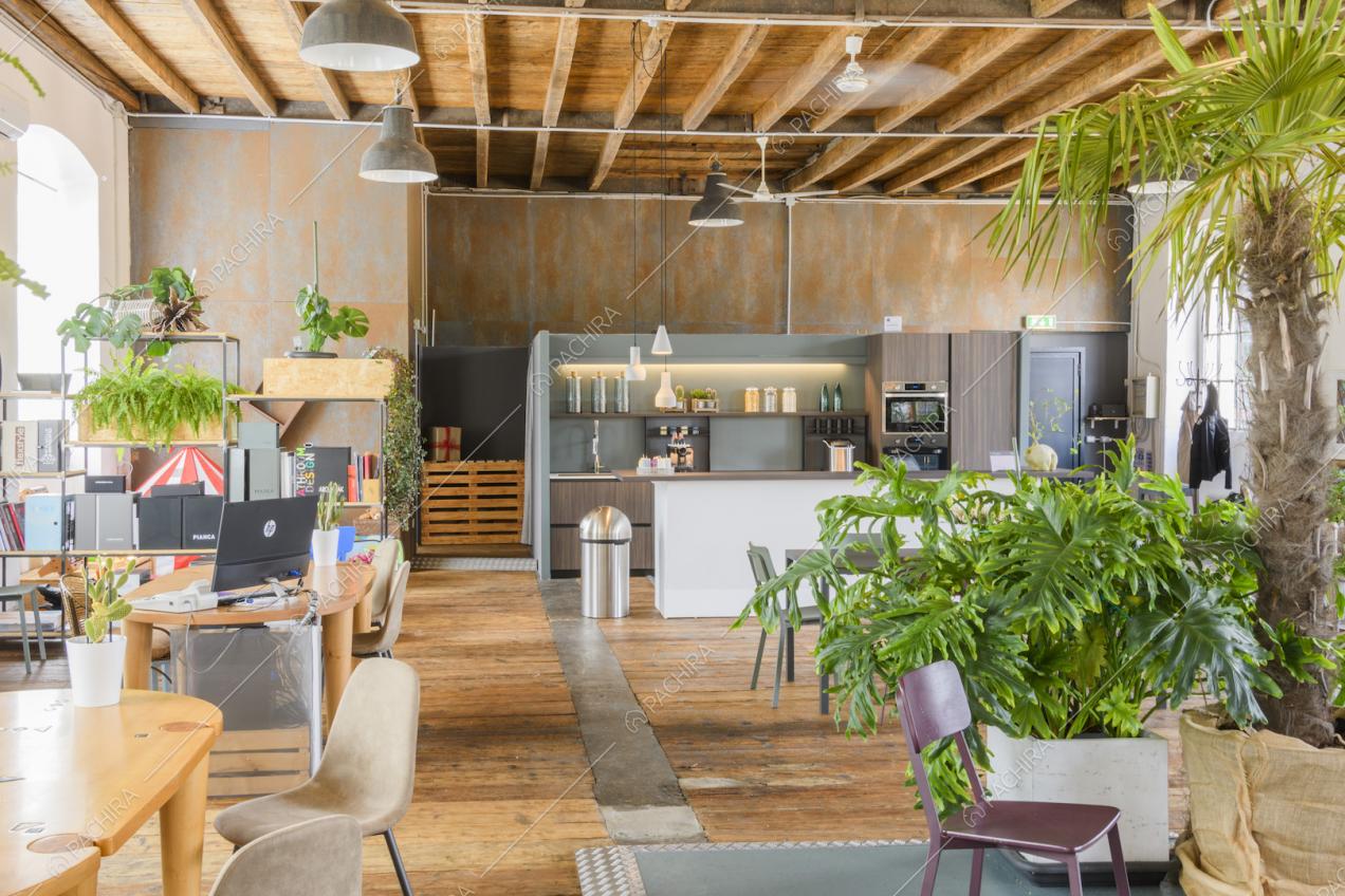 Vasi con piante verdi disposti all'interno della Location Mandevilla