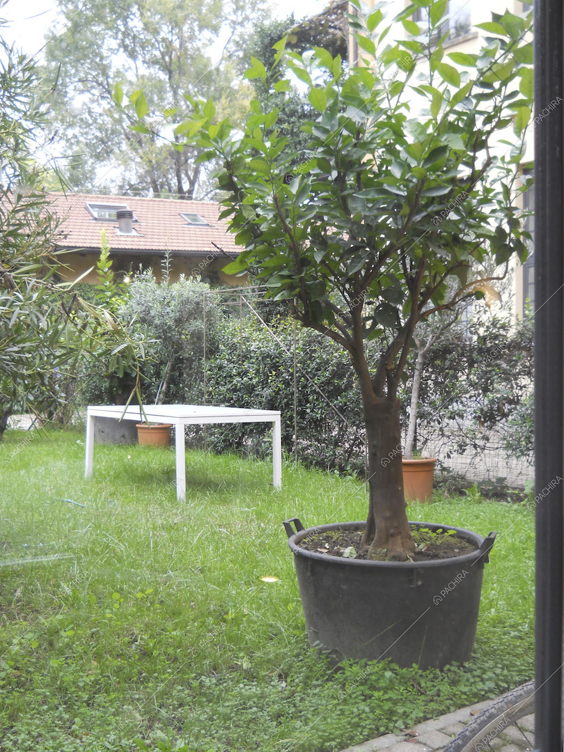 Nel giardino della location piante e tavolo bianco