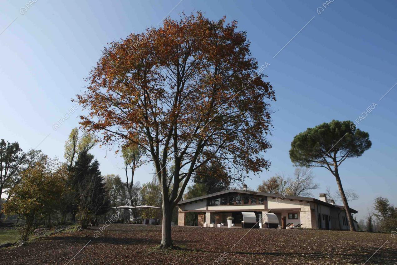 Dal parco vista sull'esterno della location e sugli ombrelloni