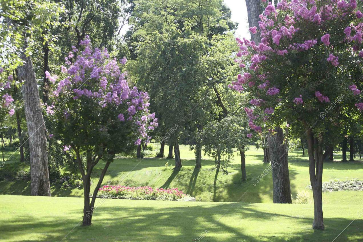Parco della villa piena di alberi maestosi e con il prato curato