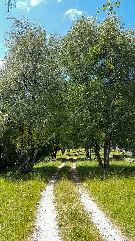 Vialetto della villa Kurili, location in stile classico a Bergamo