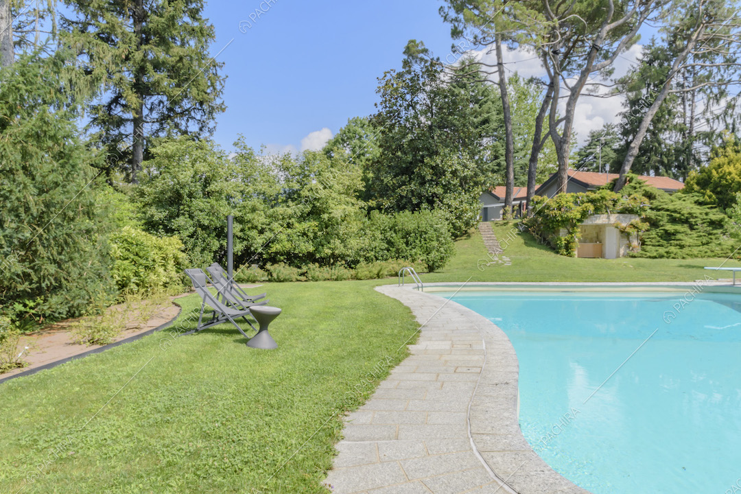 Sedie a sdraio a bordo piscina e vegetazione 