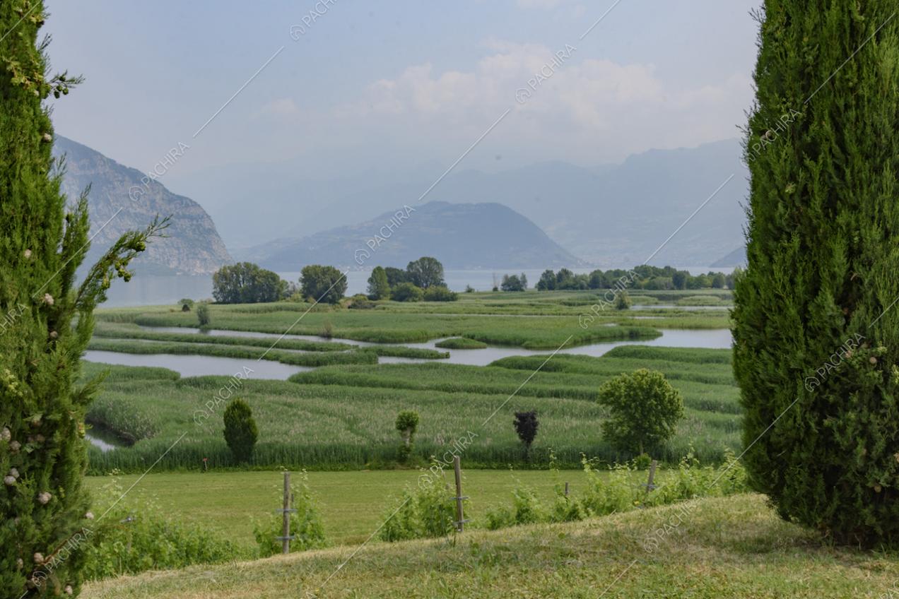 Il verde dell'ampio giardino in cui è immersa la villa