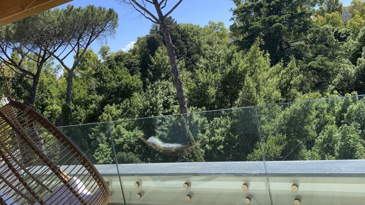 Affaccio della terrazza sul parco privato pieno di piante