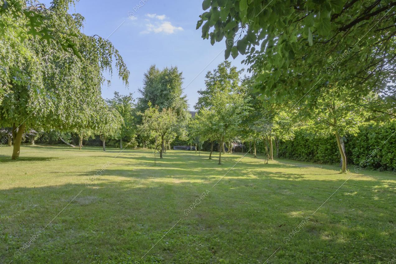 Alberi all'interno del parco che circonda la villa