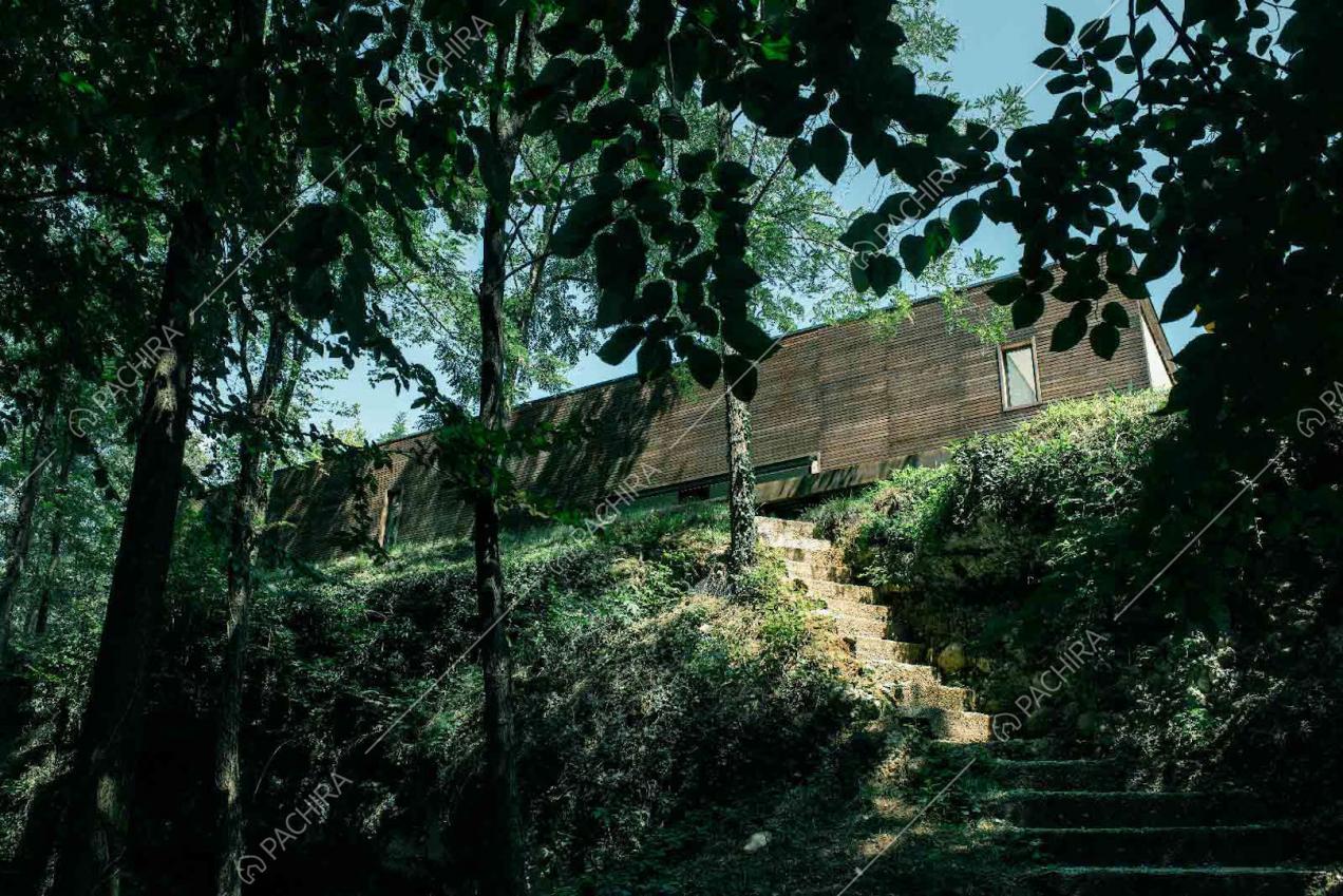 Accesso con scale alla villa dal boschetto