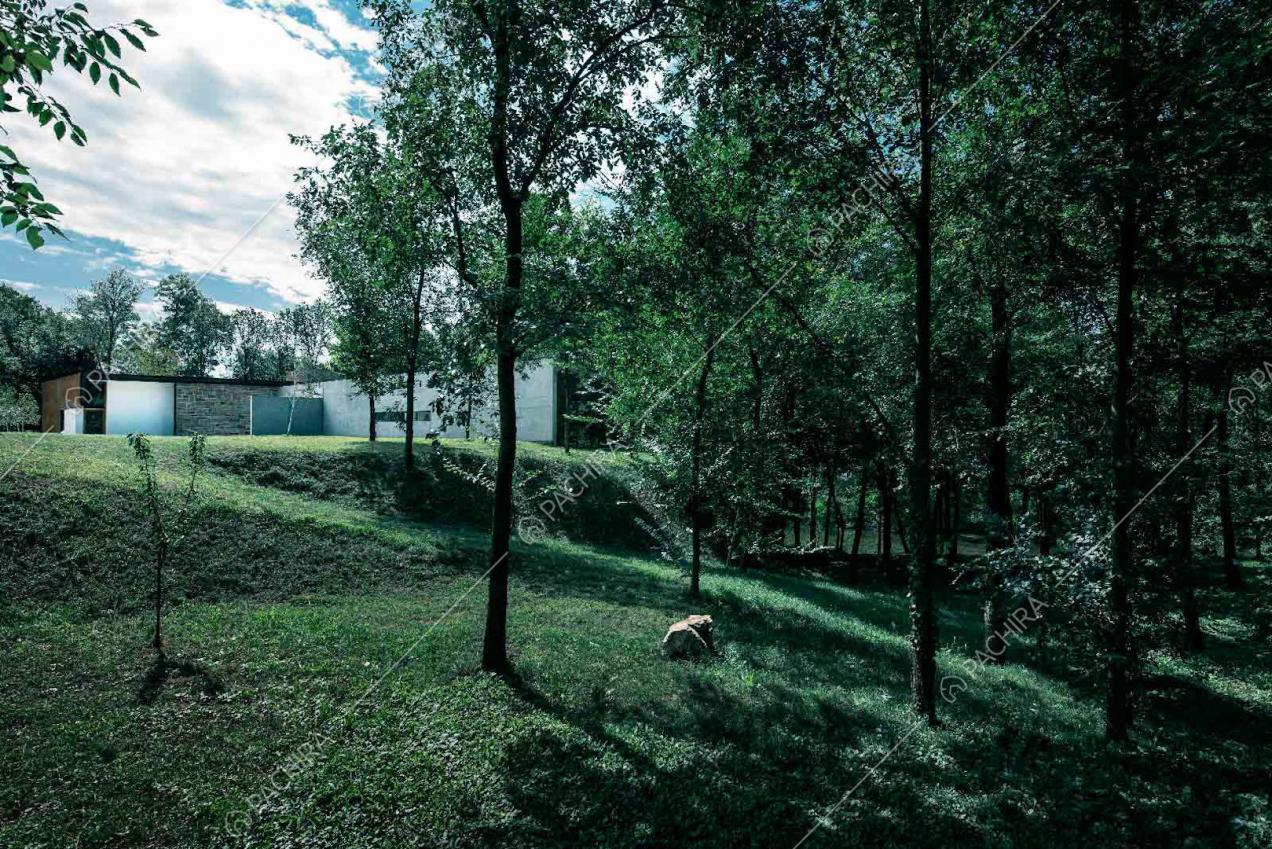 Giardino della villa con alberi