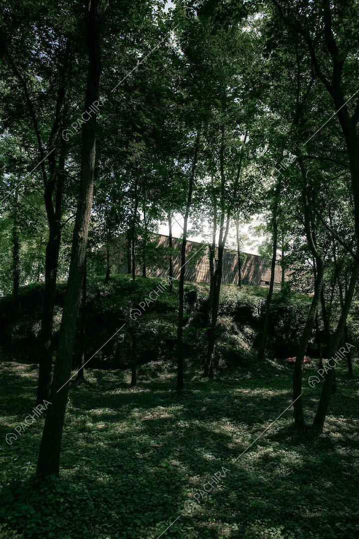 Villa vista dal boschetto