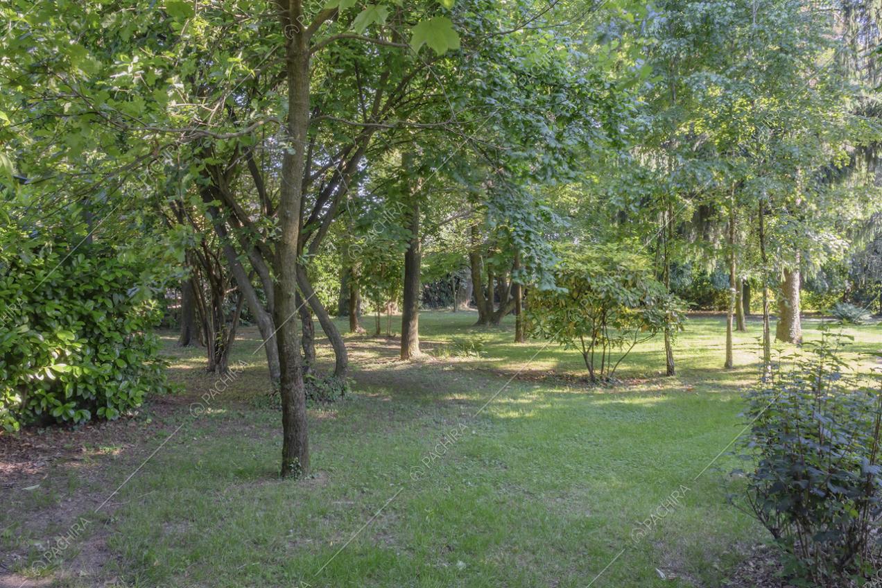 Fitta vegetazione nell'ampio parco della villa