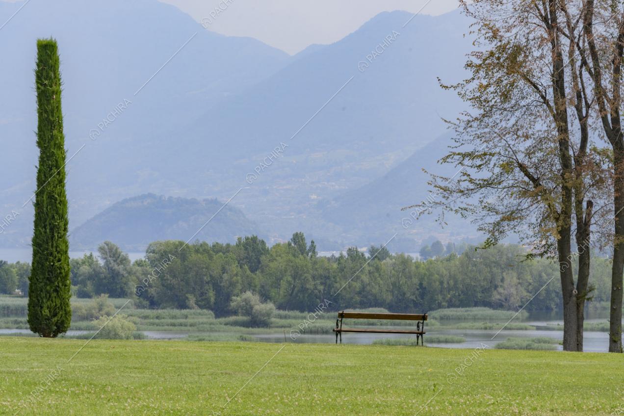 Bosco tra le montagne e prato verde con panchina
