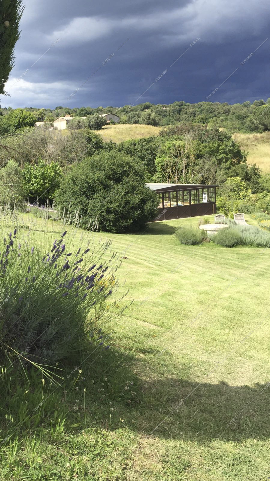 Dal parco privato scorcio sulla serra