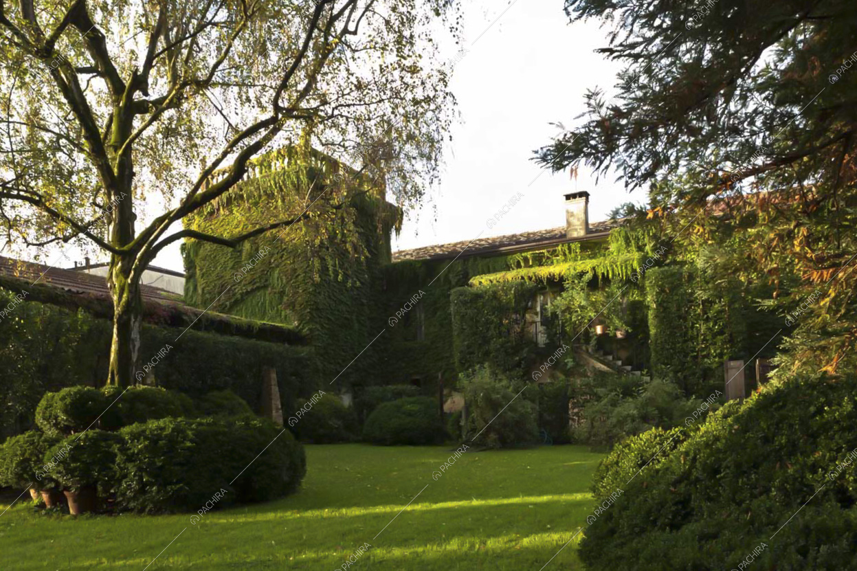 Il giardino della Location Bananito