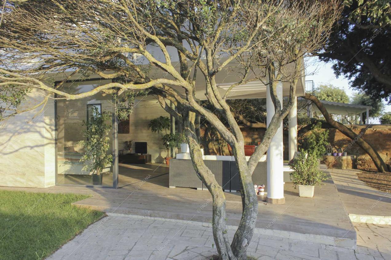 Raperonzolo villa provincia di Roma 3
