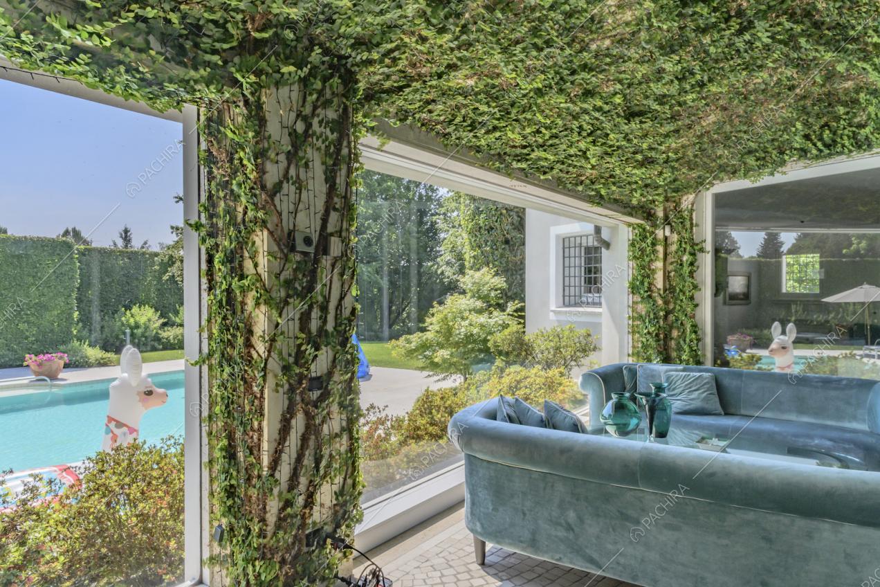 Divani di velluto azzurro nella verda con rampicanti sul soffitto e vista sulla piscina tramite la grande vetrata