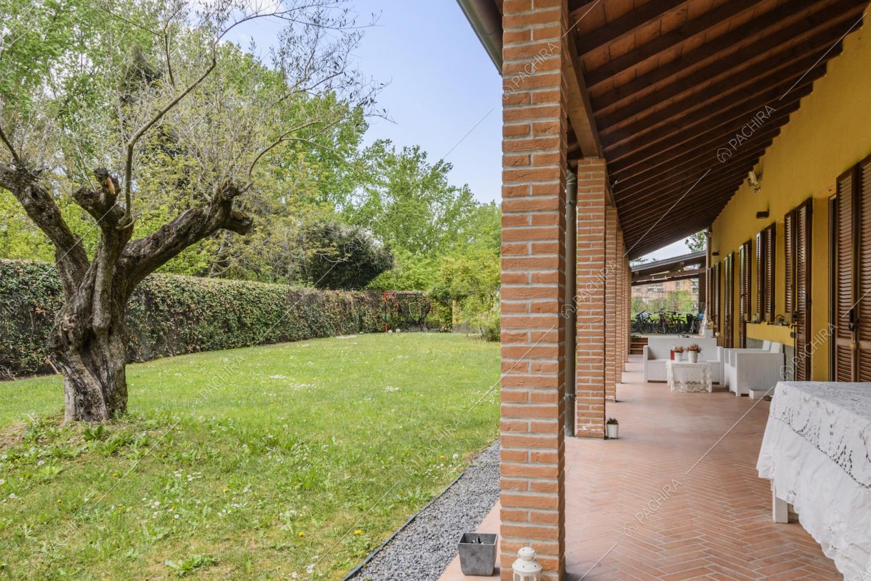 Colonne con mattoni a vista sorreggono il portico e ulivo nel giardino