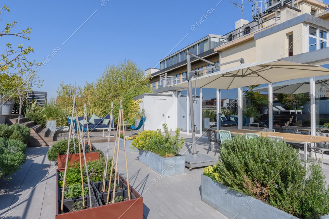 Piante sulla grande terrazza con tavolo da pranzo da esterni e ombrellone