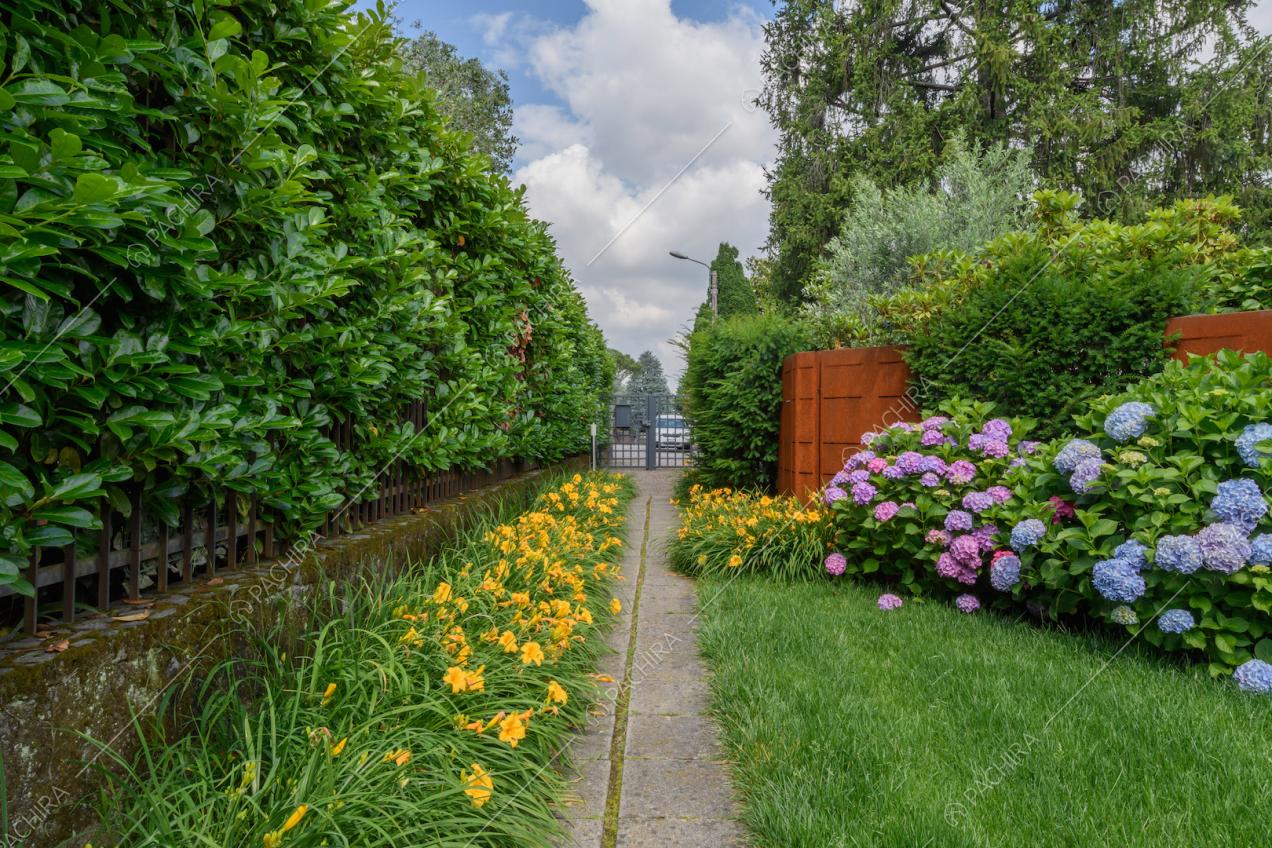 Grande giardino con aiuole, siepi e vialetto