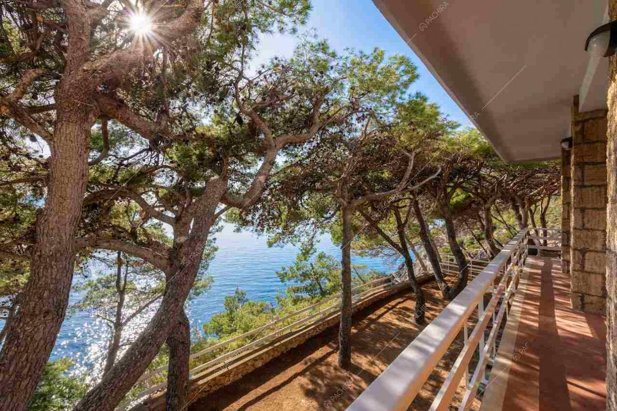 Terrazze della location pini marittimi e vista sul mare