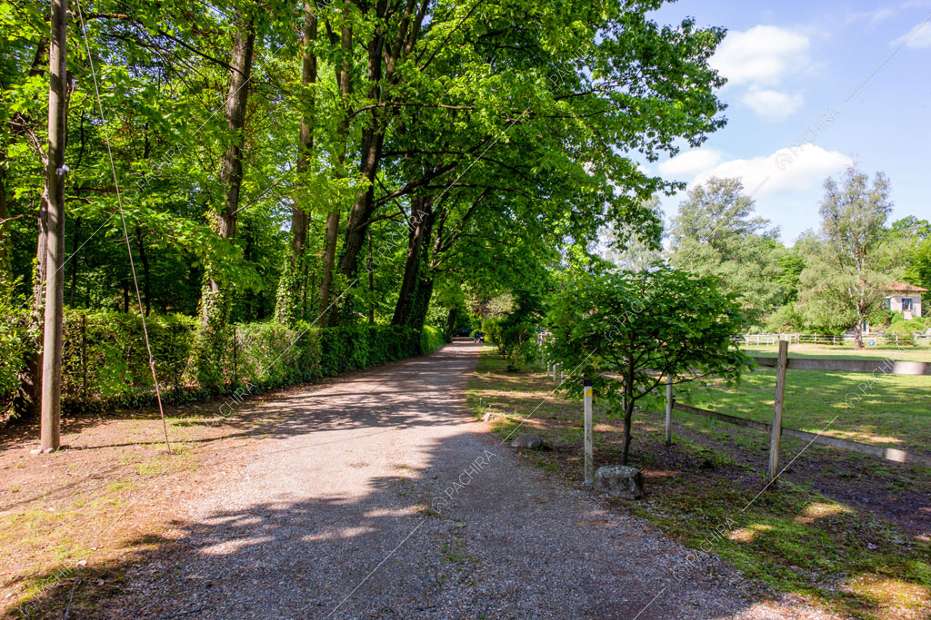 Grande vialetto con pavimentazione in ciottoli e vista sul parco