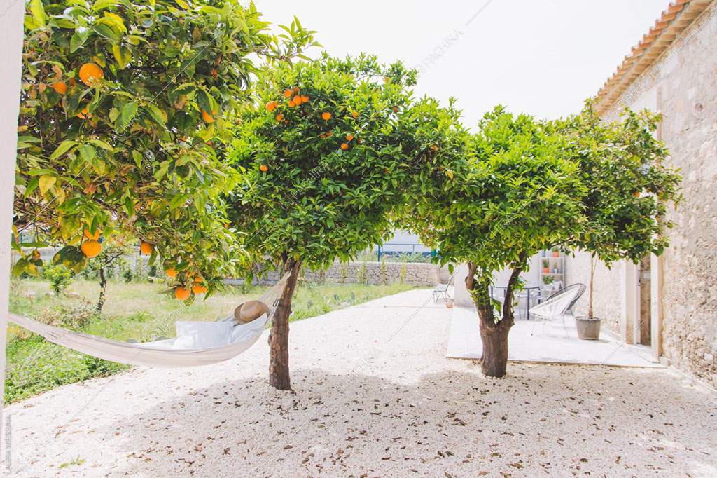 Aranci nel giardino della villa Hibiki, location in stile moderno a Siracusa