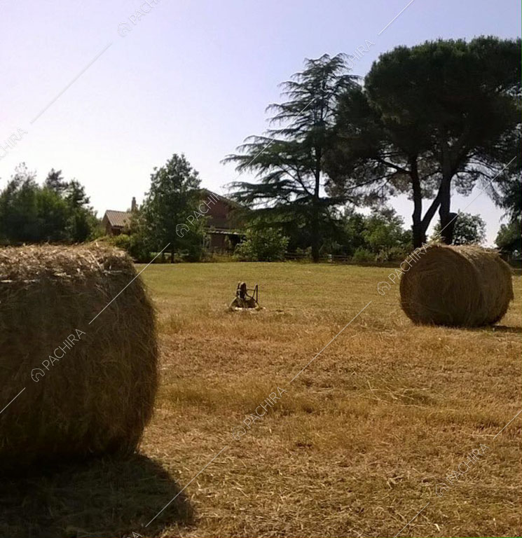 Esterni della villa Anturio, location in stile shabby chic a Viterbo