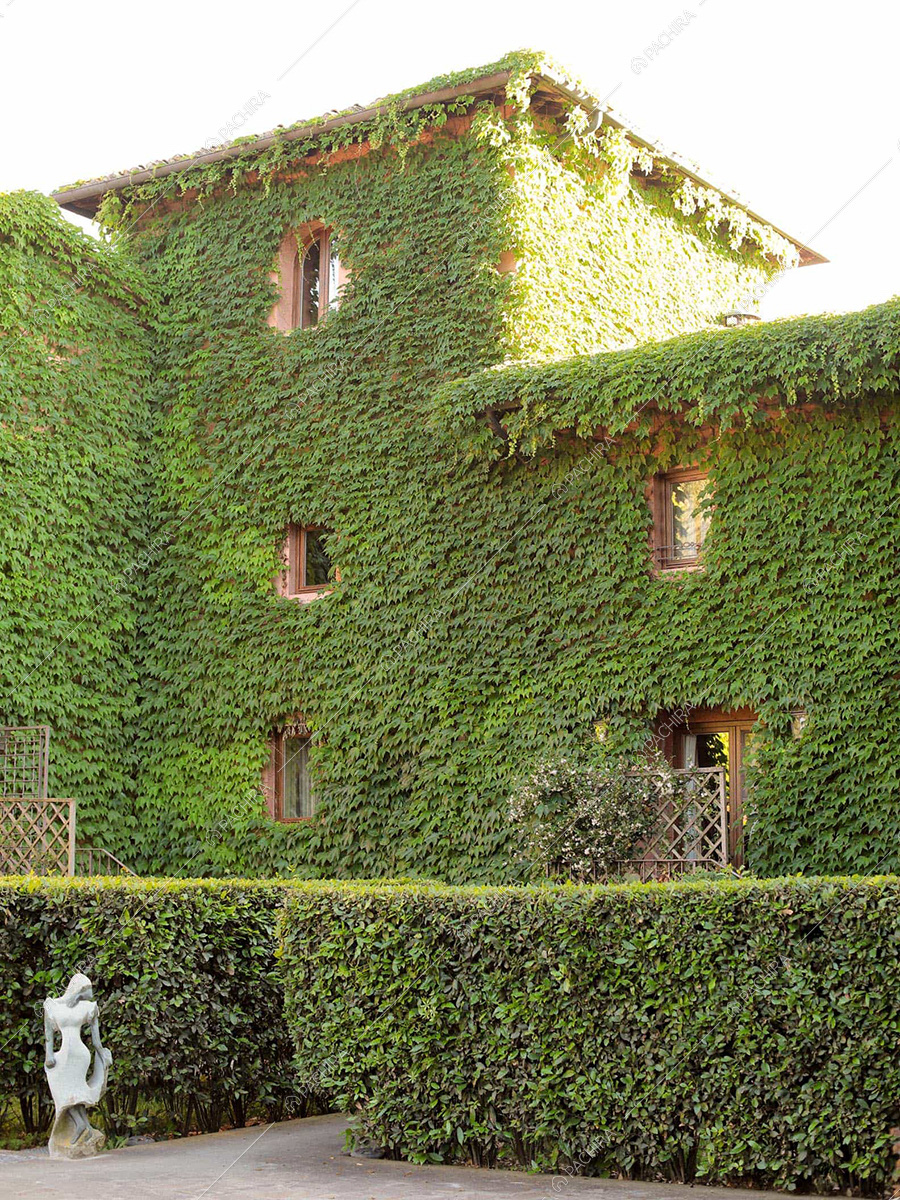 Esterni della villa Elba, location in stile classico a Firenze
