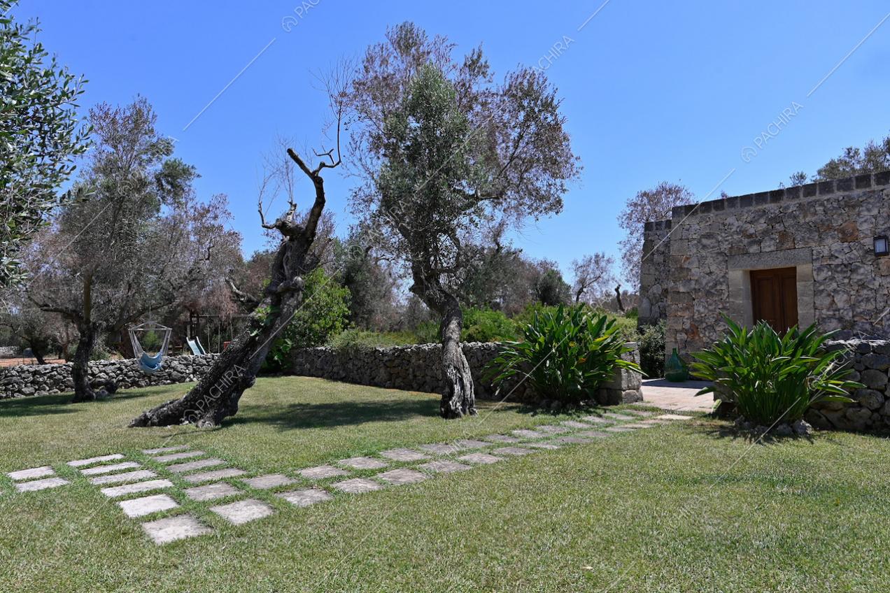 Nel giardino, vialetto in pietra per accedere al trullo, usato come seconda unità, indipendente dalla villa