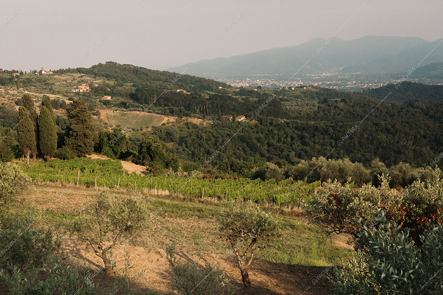 Vista parco dalla masseria Mincio, location in stile rustico a Lucca