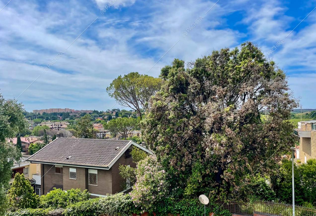 Vista parco dalla villa Apatite, location in stile classico a Roma