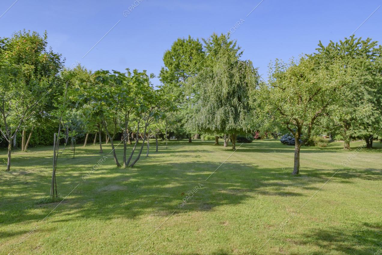 Il grande parco all'esterno della Location Orniello