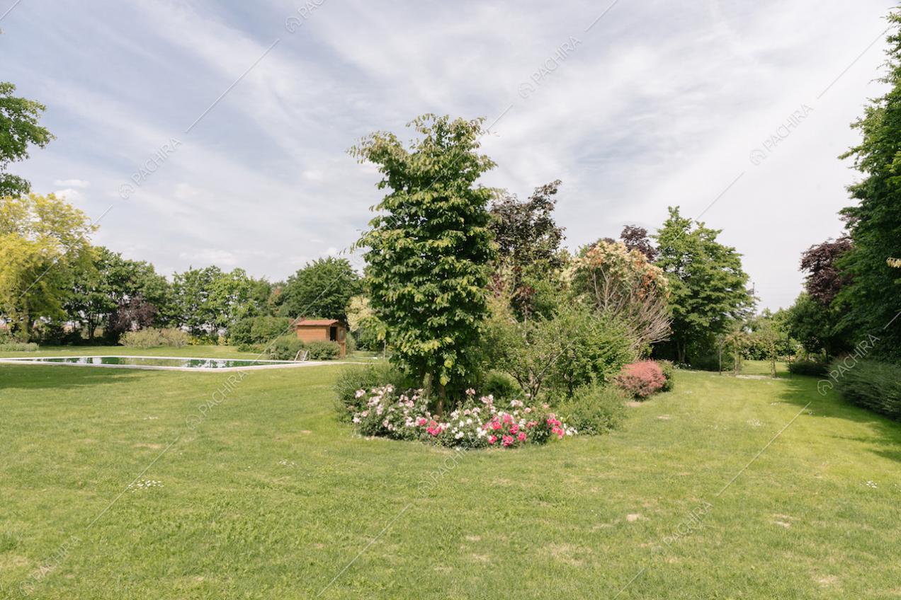 Vista del giardino alberato con piscina