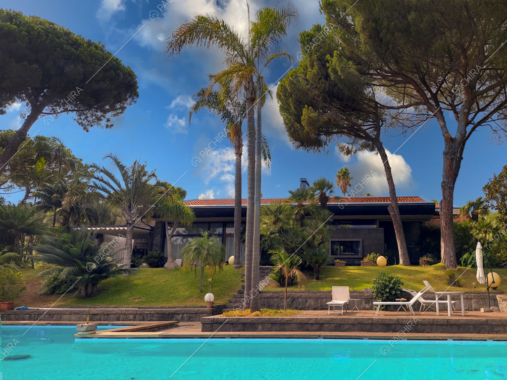 Dalla piscina del giardino con palme vista sulla location